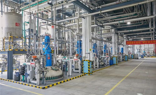 心安是家 新時(shí)代和諧勞動(dòng)關(guān)系的 傳化樣本