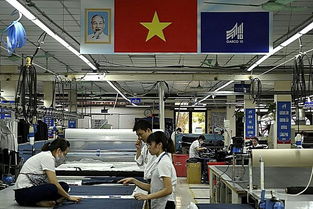 美國(guó)的下一個(gè)目標(biāo)是越南？越南曾經(jīng)吃進(jìn)去的，現(xiàn)在可能要吐出來(lái)——企業(yè)管理咨詢(xún)視角解析