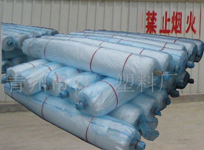 青州海飛塑料制品廠 優(yōu)質(zhì)灌漿膜、地膜、農(nóng)膜、大棚膜批發(fā)供應(yīng)商